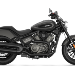 Benda Chinchilla 350 NEO